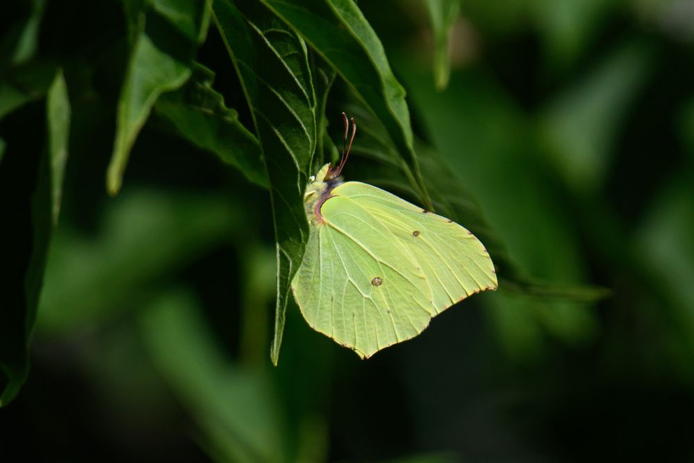 Photograph by Вячеслав Ладанов