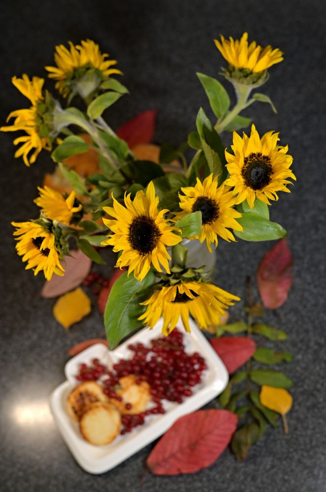 Photograph by Татьяна Пахатинская