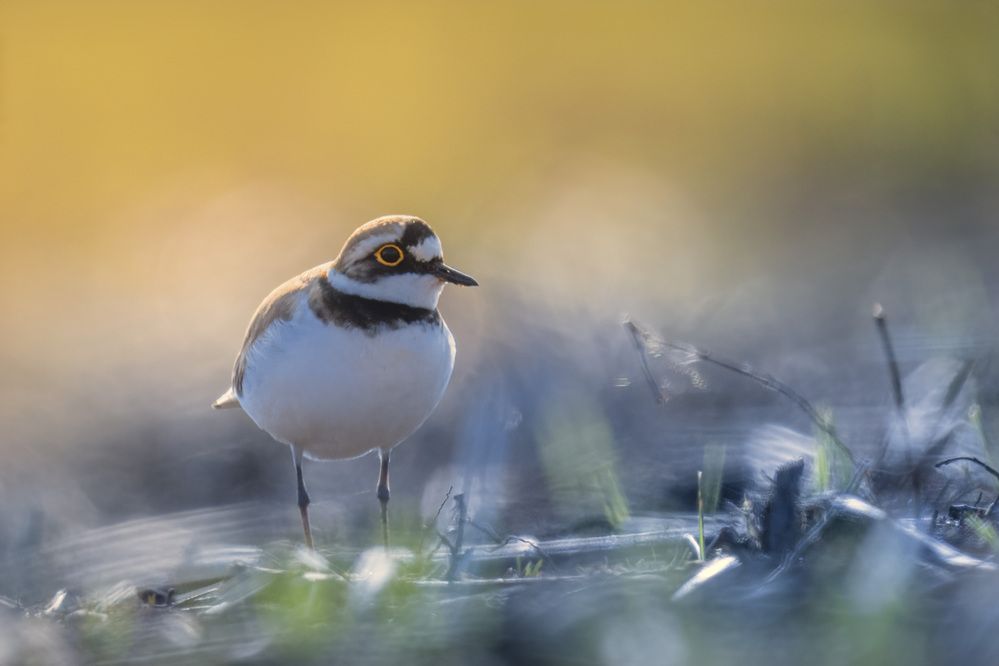 Photograph by Вячеслав Ладанов