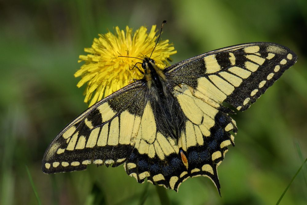 Photograph by Вячеслав Ладанов