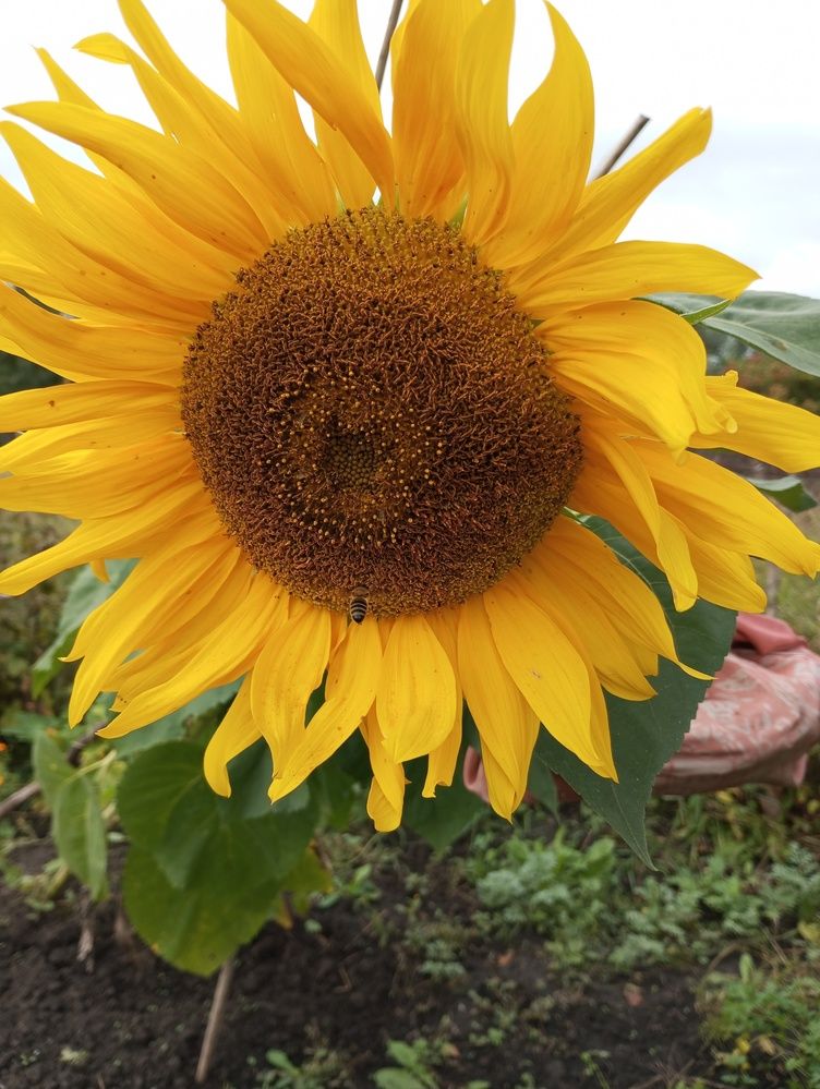 Photograph by Татьяна Кунц