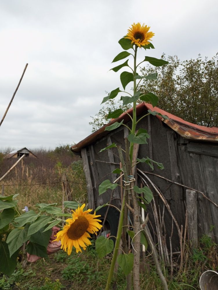 Photograph by Татьяна Кунц