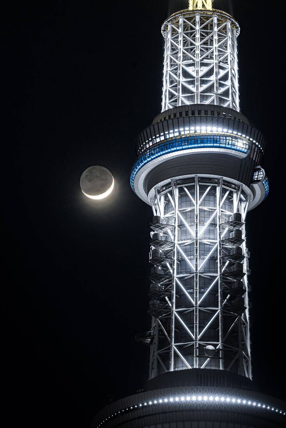 Фотография #12599160