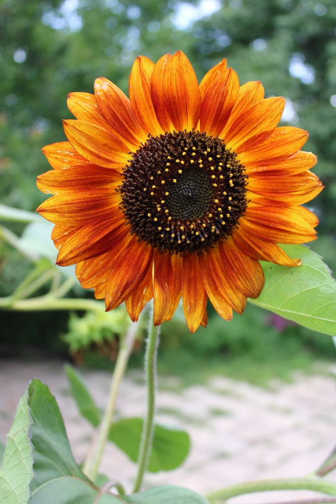 Photograph by Елена Коробченко