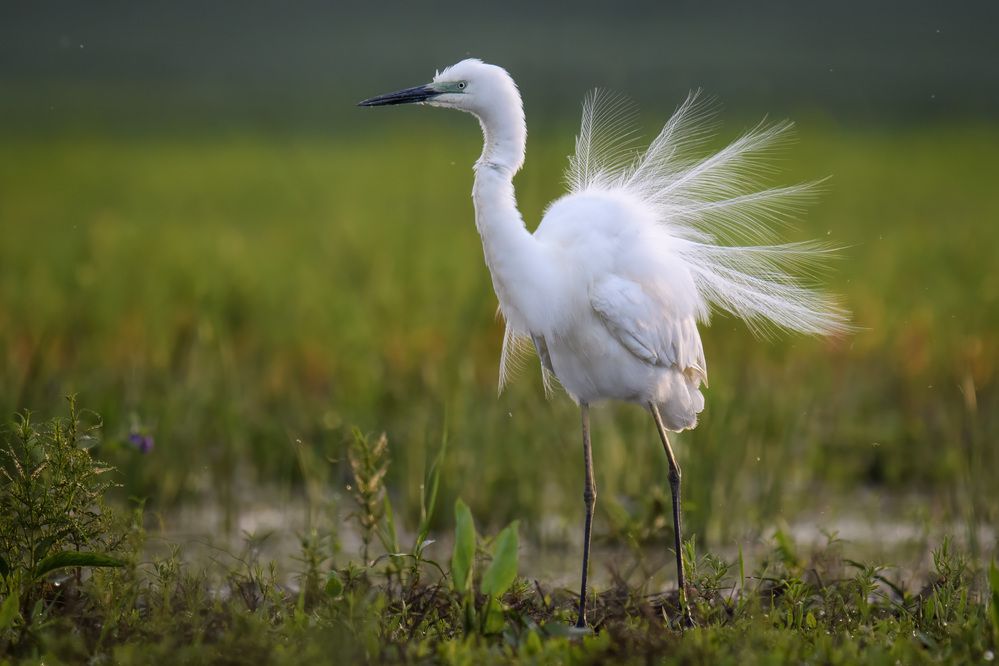 Photograph by Вячеслав Ладанов