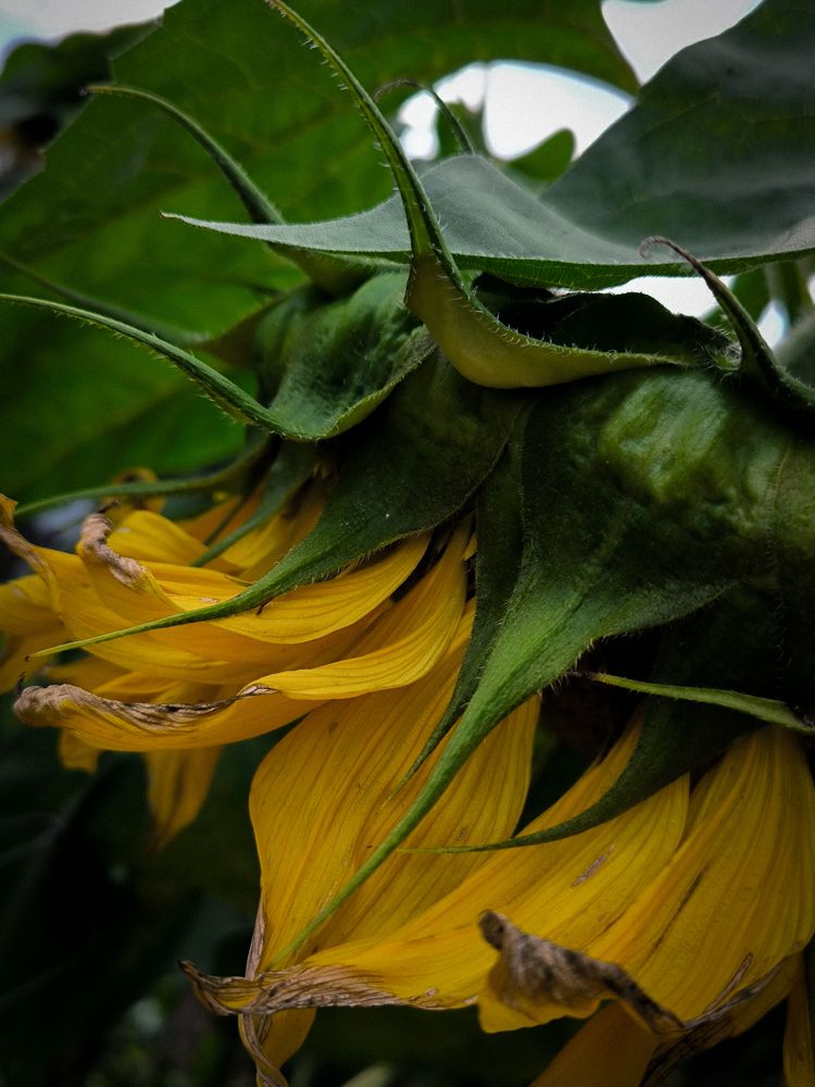 Photograph by Людмила Емельянчикова