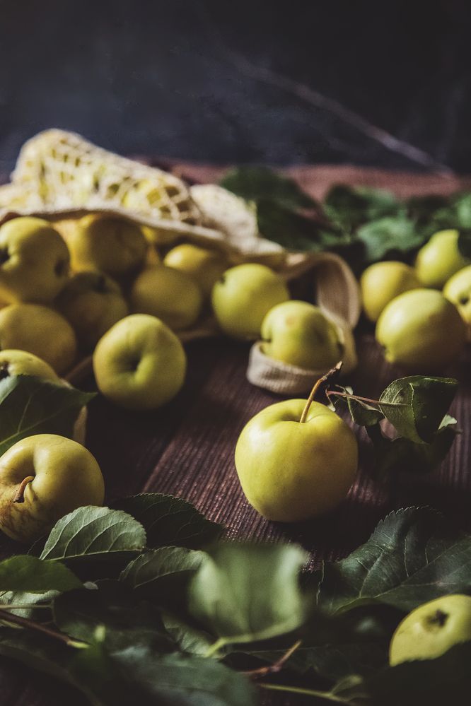 Фотография автора Альбина Кадочникова