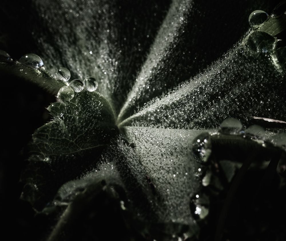 Photograph by Анна Стрелковская