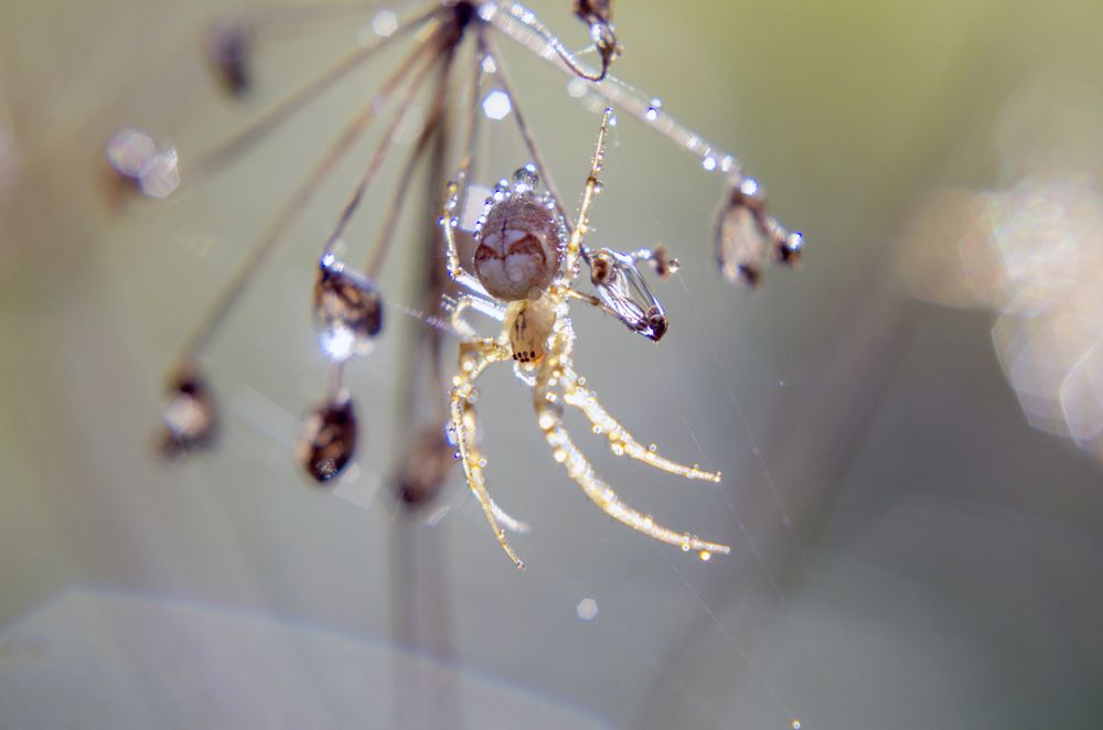 Photograph by Любовь Бусова