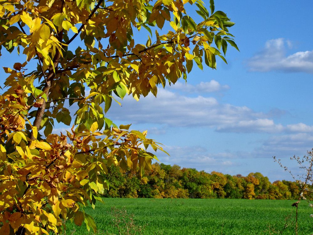 Photograph by Ксения Мироненко