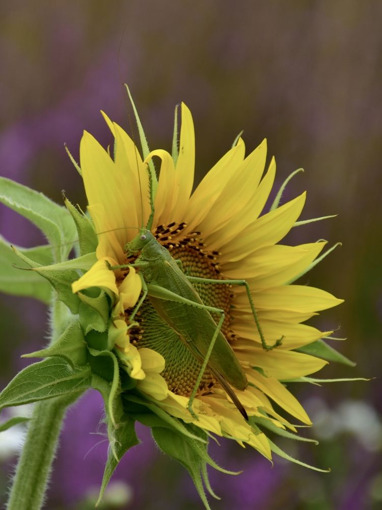 Photograph by Валерий Гудков
