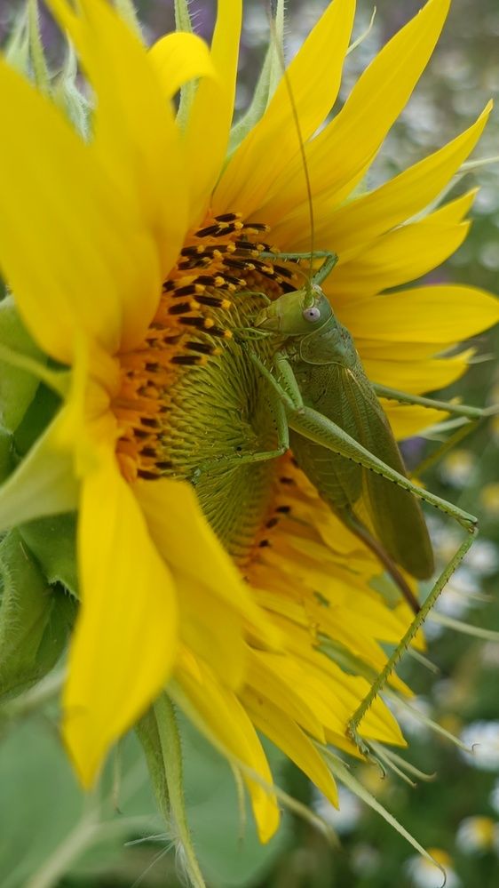 Photograph by Валерий Гудков