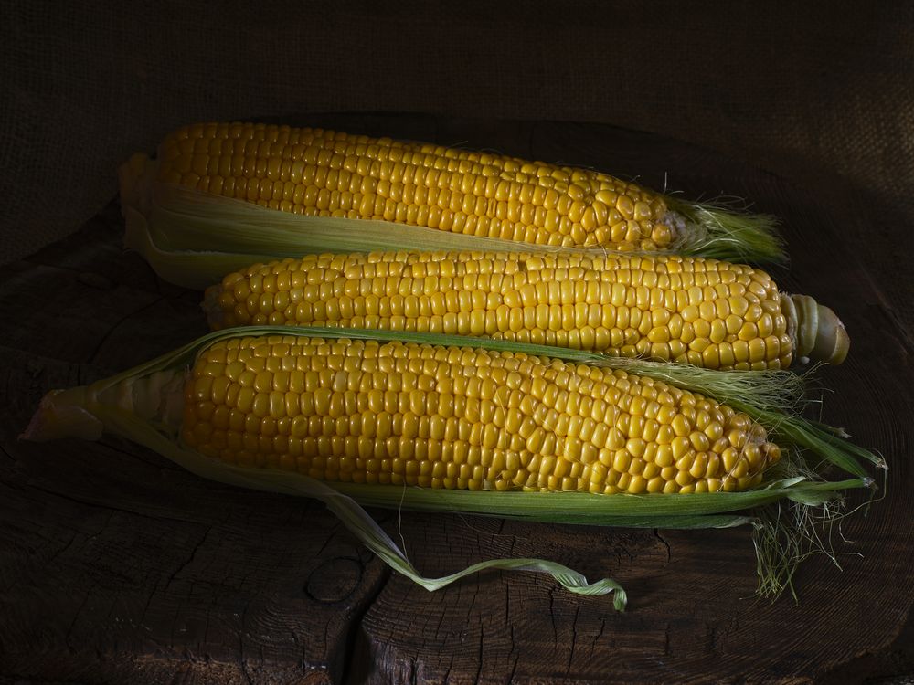 Photograph by Леонид Якутин