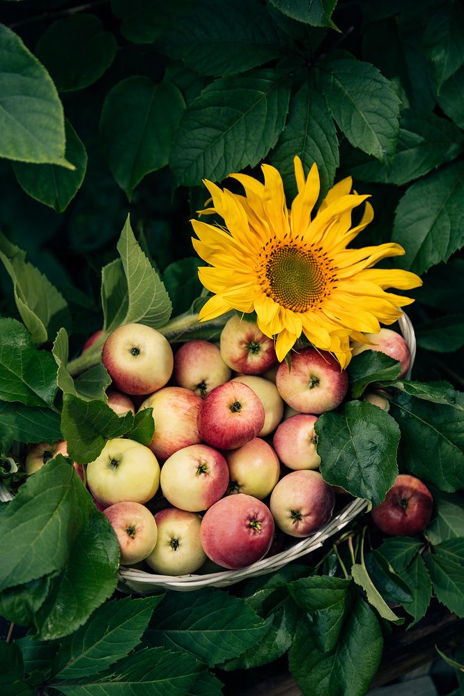 Фотография автора Альбина Кадочникова
