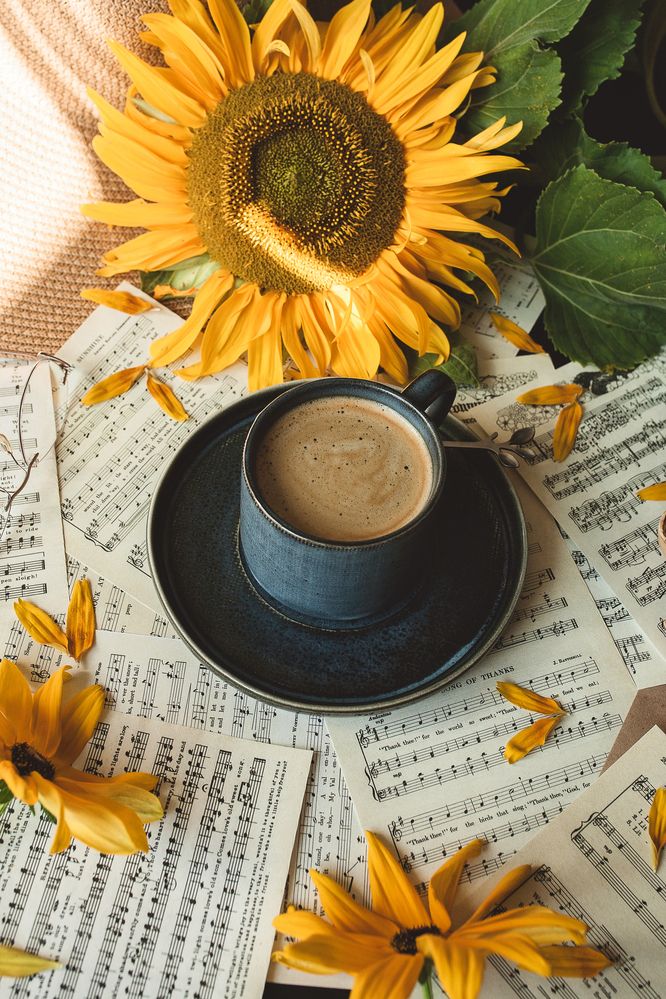 Photograph by Альбина Кадочникова