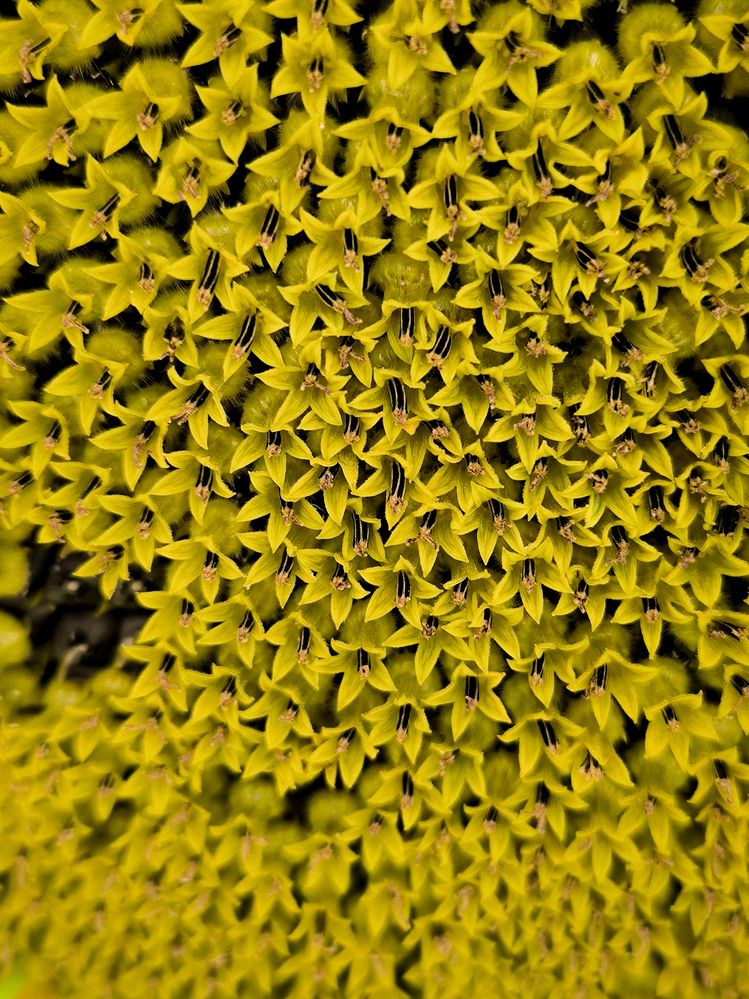 Photograph by Людмила Емельянчикова