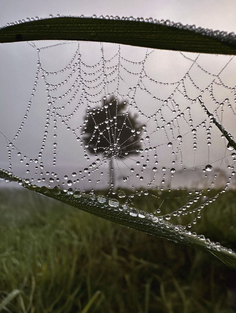 Photograph by Olga Schmidt