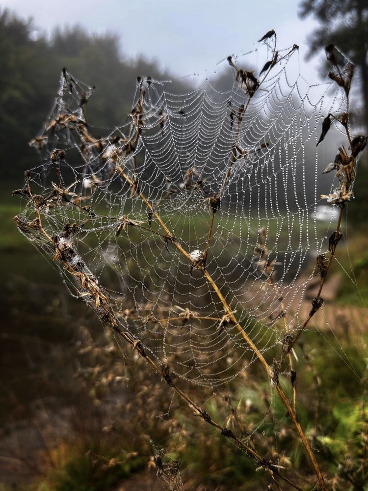 Photograph by Olga Schmidt