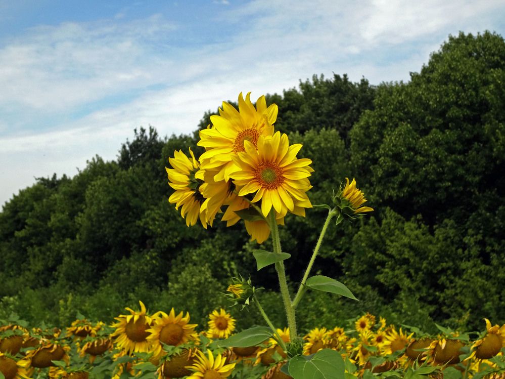 Photograph by Ксения Мироненко