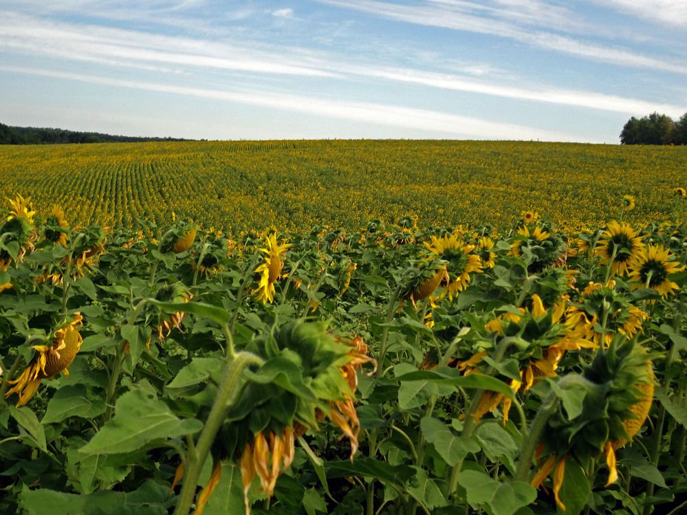 Photograph by Ксения Мироненко