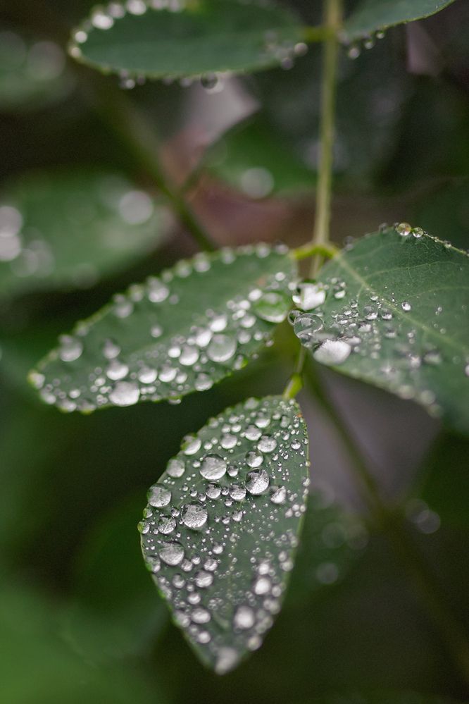 Photograph by Перепёлкина Анастасия