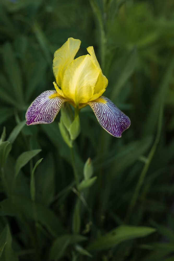 Photograph by Светлана Гаврикова