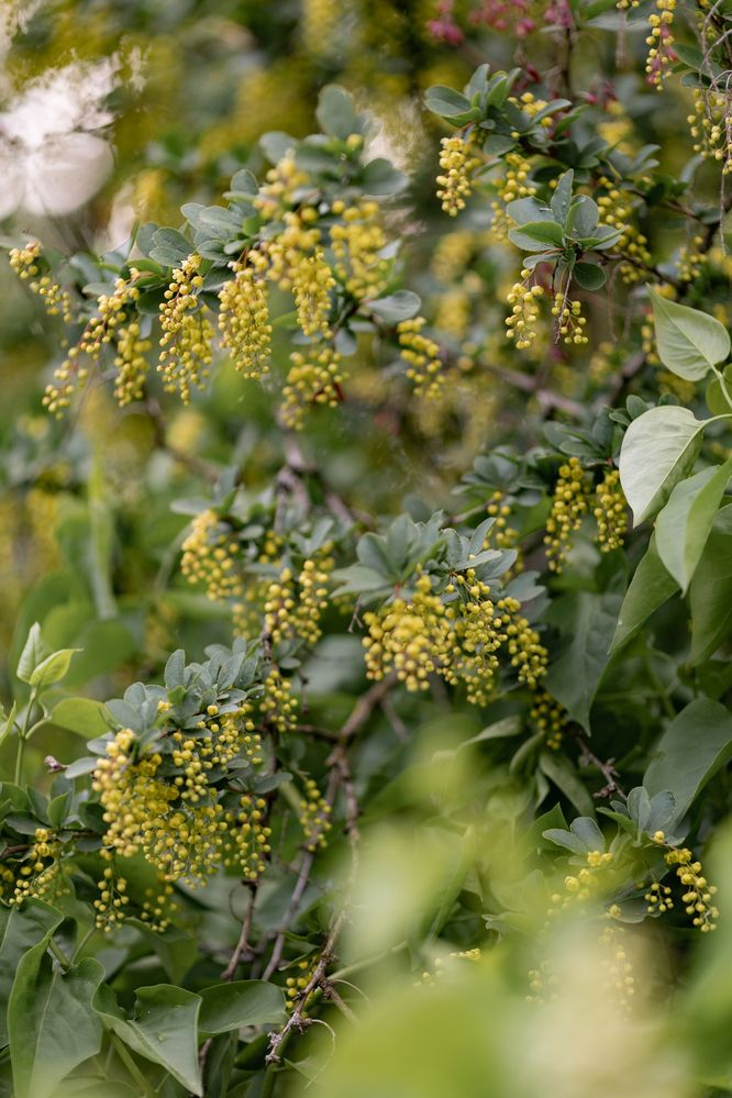 Photograph by Перепёлкина Анастасия