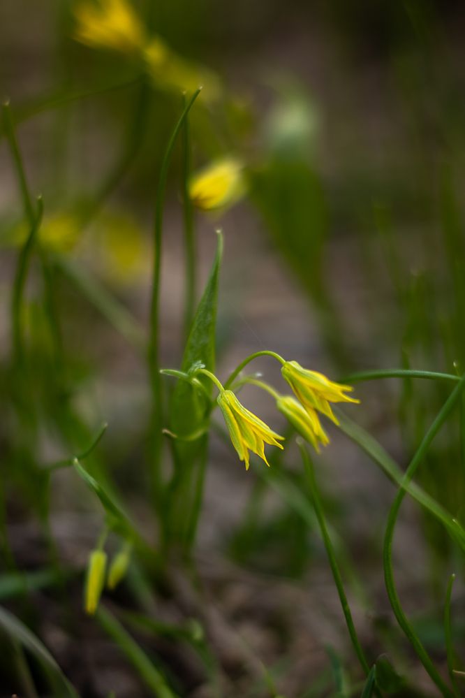 Photograph by Перепёлкина Анастасия