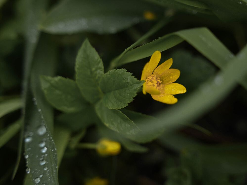 Photograph by Светлана Гаврикова