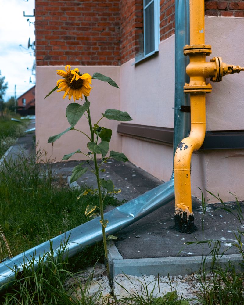 Photograph by Артем Гатин