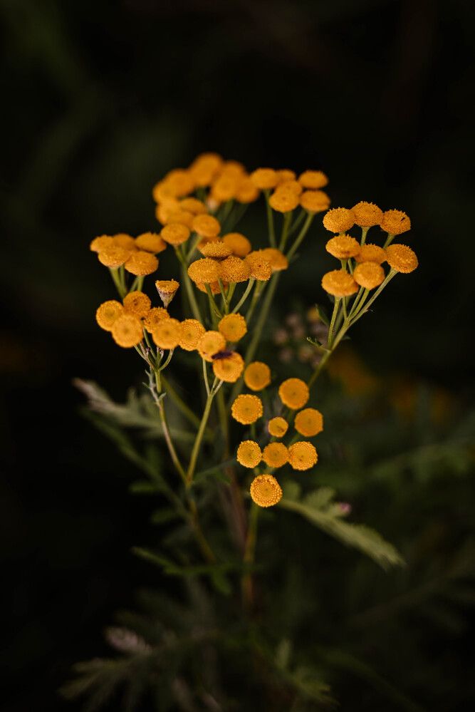 Photograph by Светлана Гаврикова