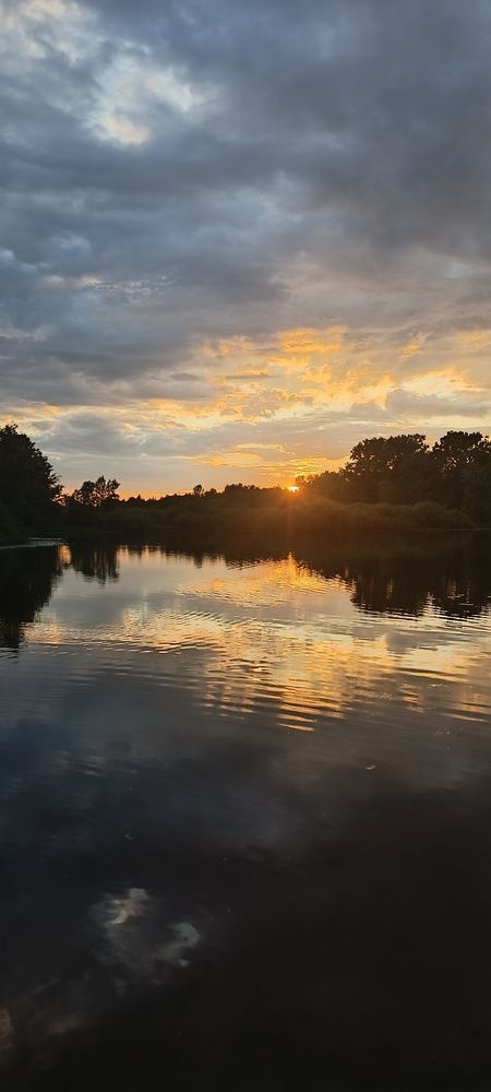 Photograph by Mishel Photographer