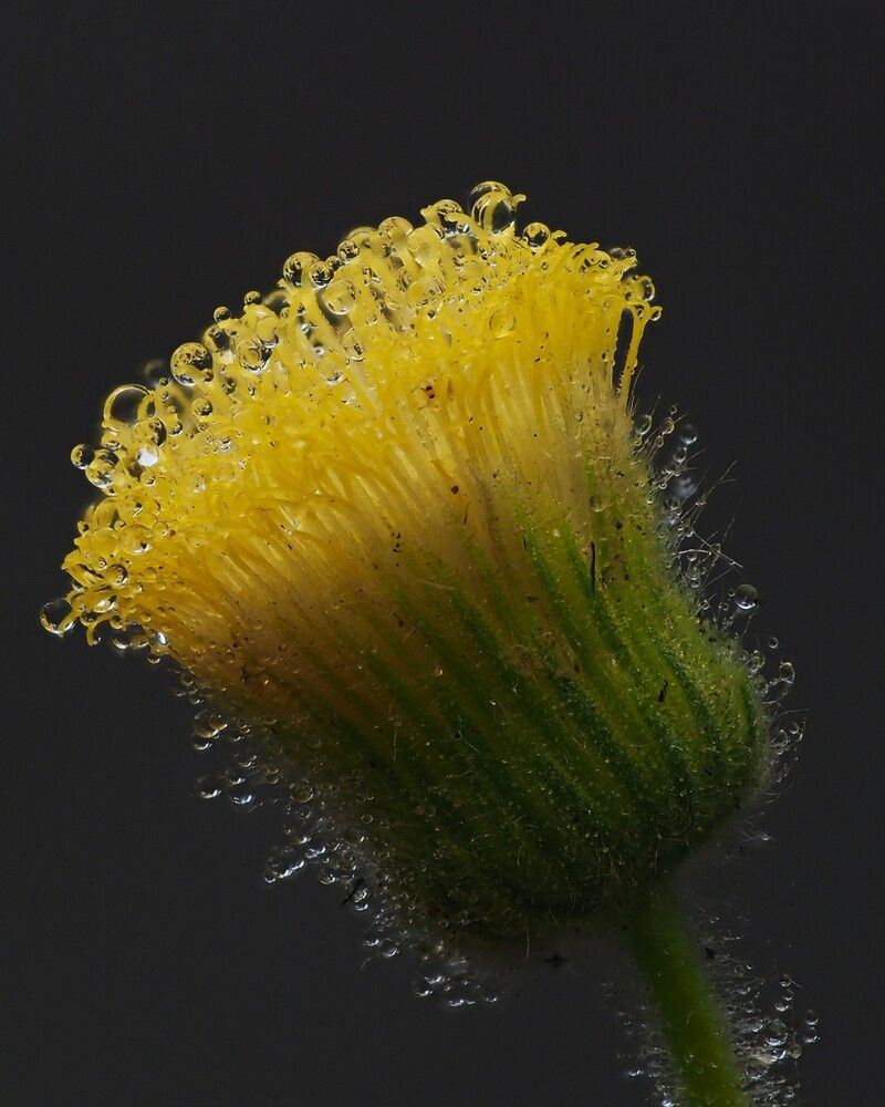 Photograph by Dharmendra Padhiyar