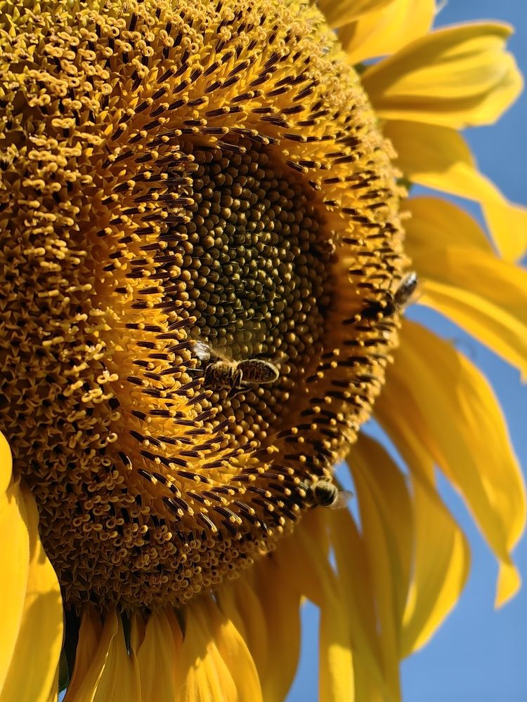 Photograph by Валерия Иваненко