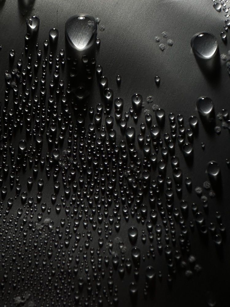 Фотография автора София