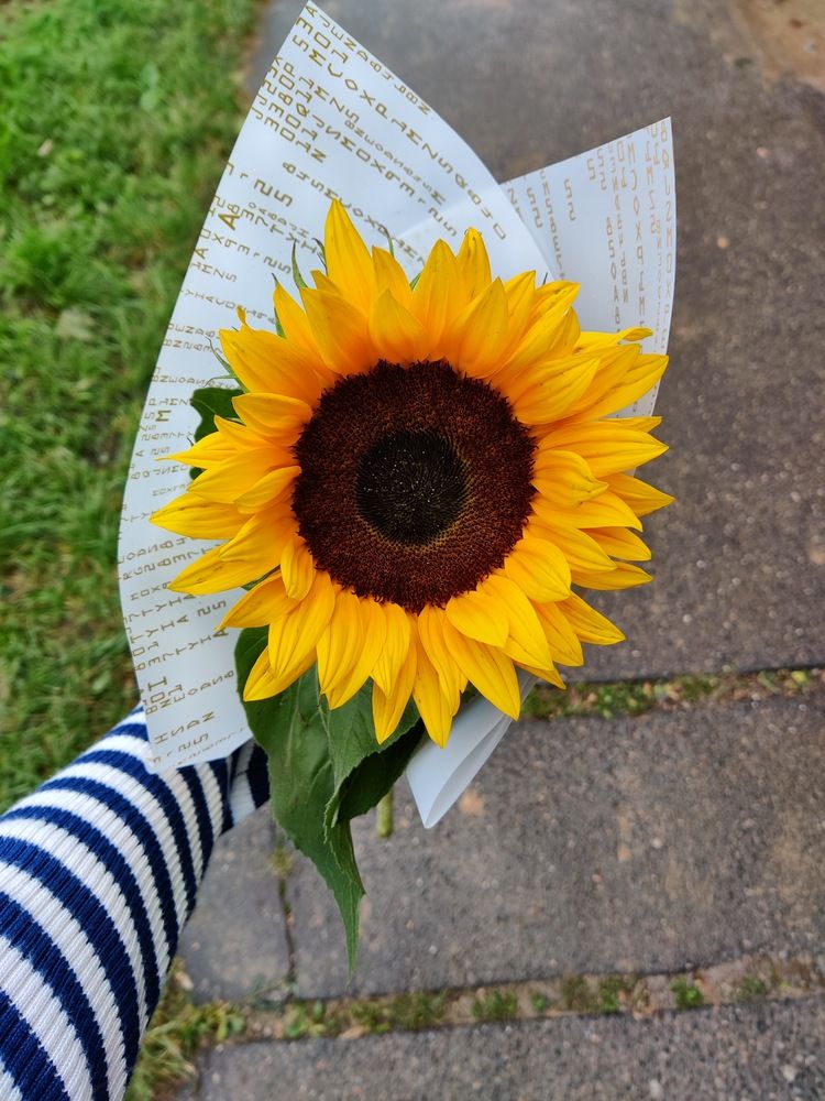 Little sunshine in my hand