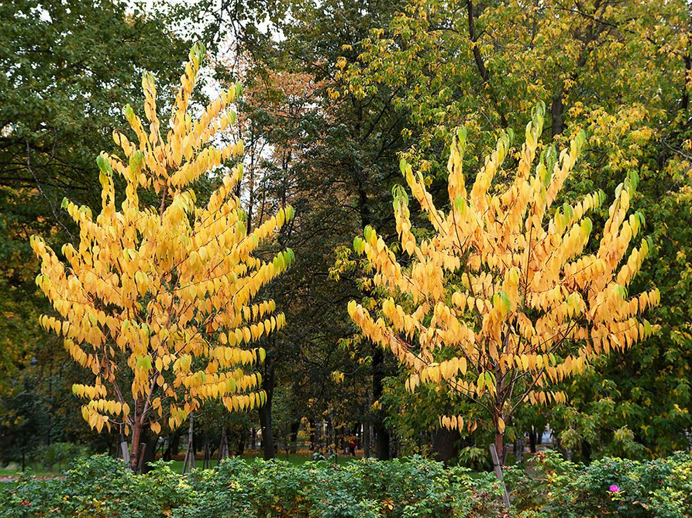 Photograph by Смирнов Алексей
