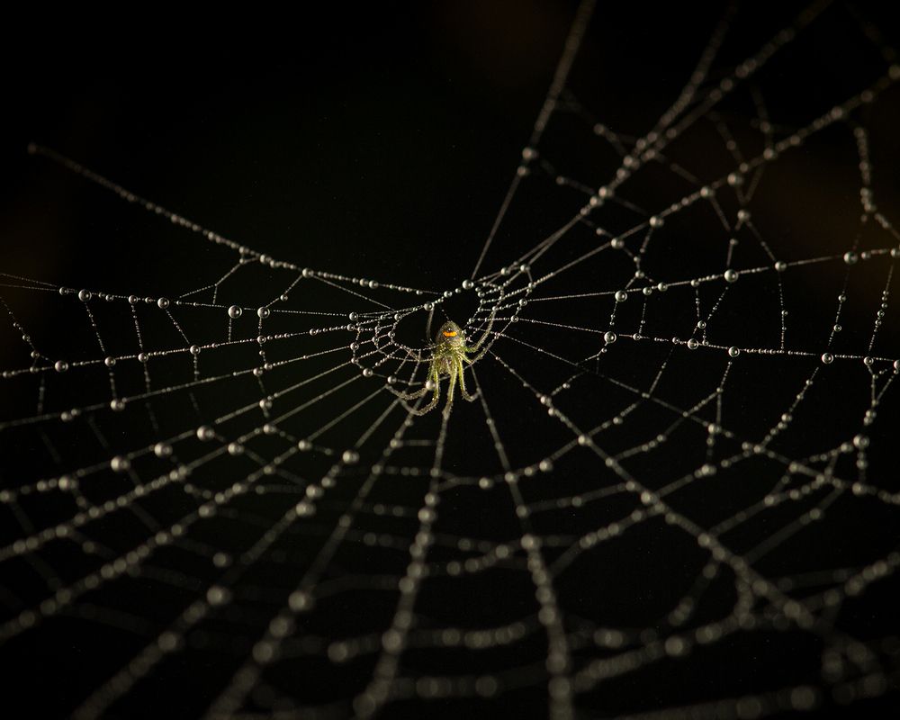 Photograph by Utkarsh Patil