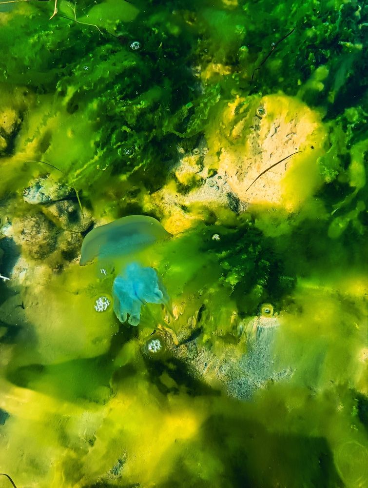 Фотография автора Rafa