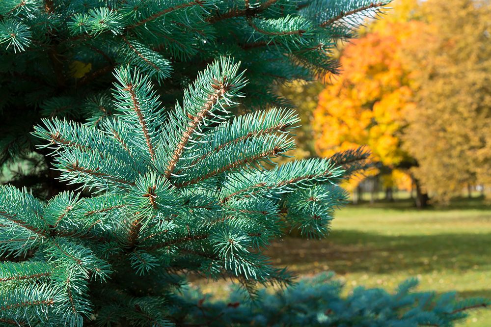 Photograph by Смирнов Алексей