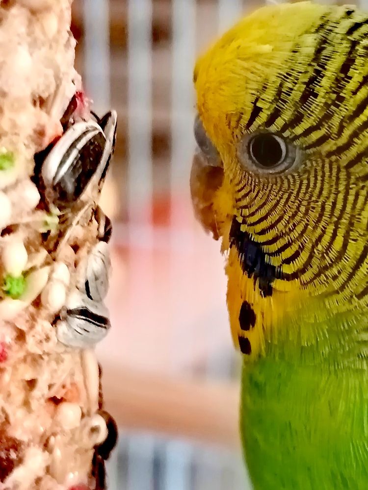 Фотография автора Rafa