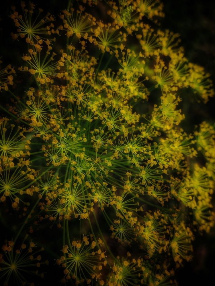 Photograph by Кристина Полякова