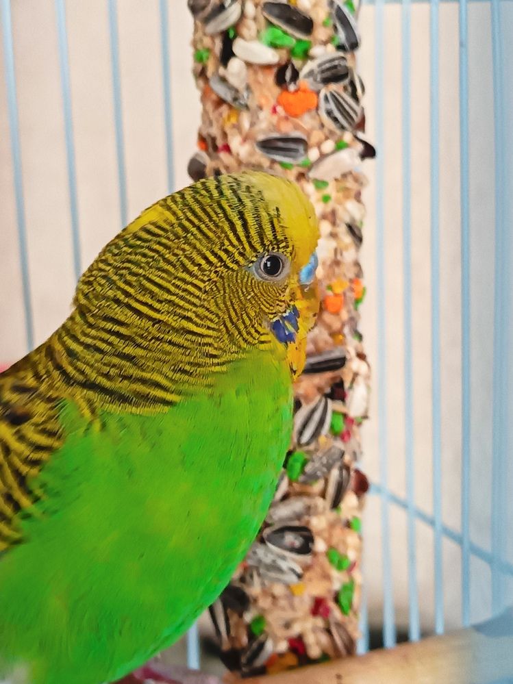 Фотография автора Rafa