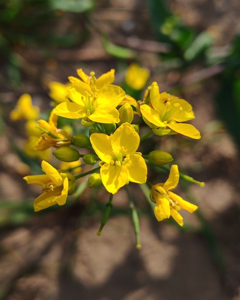 Photograph by Альбина