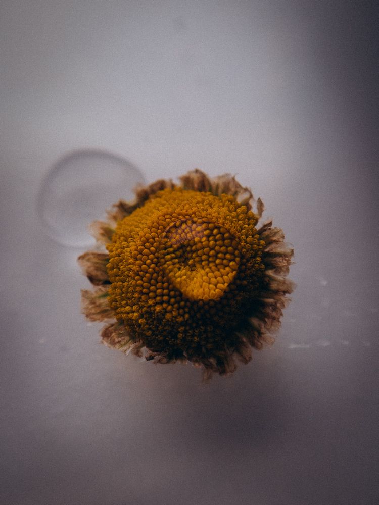 Photograph by Алёна Горошко