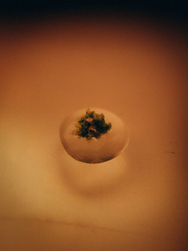 Photograph by Алёна Горошко