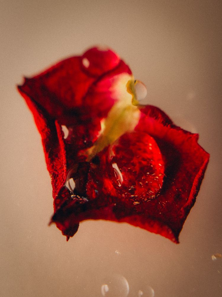 Photograph by Алёна Горошко