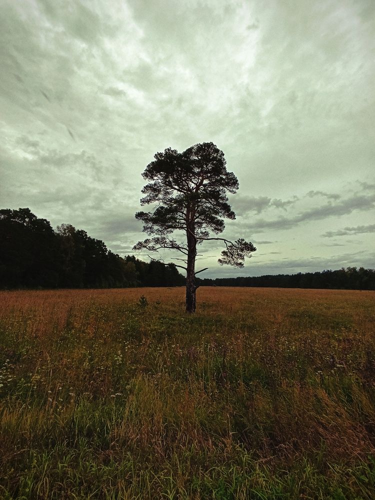 Photograph by Наталья Смирнова