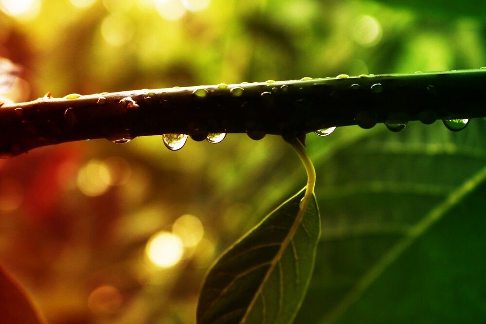 Photograph by Viviana García