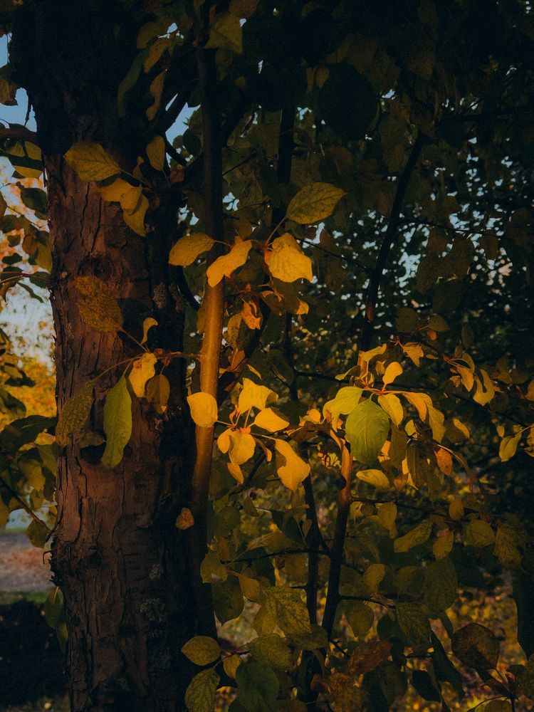 Photograph by Алёна Горошко